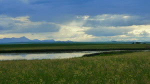 Mountains in Southern Alberta 2012