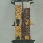 Bird Feeder
