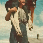 Ernest Miller –  Perth Junior Farmer