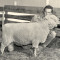 Origins of Lanark County Junior Farmers