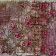 Follow-up on The Fabric Samples