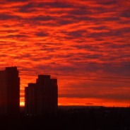 Art Website Development – Long Hours and Tedious Work