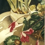 Azalea in Winter Sun