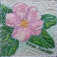 The Alberta Flood Rose Project 2013